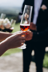 Vertical image of a group of people holding glasses with red champagne. Friends celebrate an important event.
