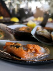 Delicious seafood, mussles in a garlic butter in Madeira, Portugal. Eating out in a restaurant.