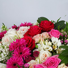 Flower arrangement with roses on neutral grey background