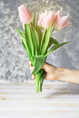 A bouquet of delicatepink tulips in the hands on a light background.