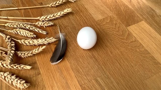 gray feather easily falls on eggs on a table with ears of grain, easter concept