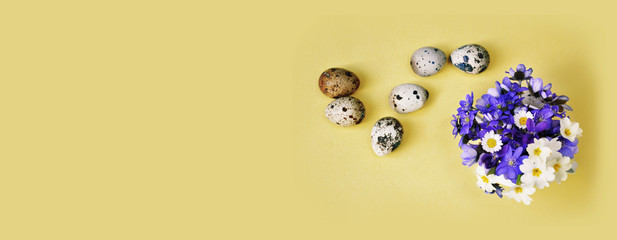 Spring small blue flowers on pastel colour background. Spring Easter holidays greeting card or banner concept