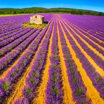 SIM-513159