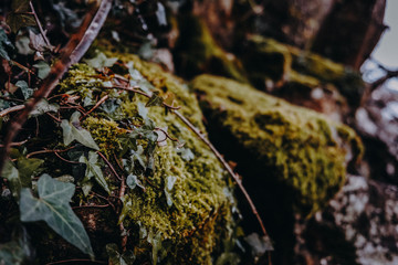 Irland - Dunguaire Castle