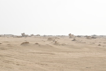 Natural Fossil Dunes in Abu Dhabi.Day time Photography with Nikon camera..