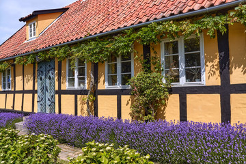 Traditional half-timbered yellow house in Nyker village, Bornholm island, Denmark