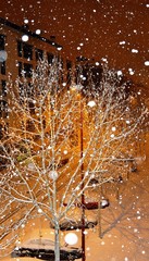 it is snowing and snowflakes falling during the night on the trees, on the cars and on the street, everything is covered with snow
