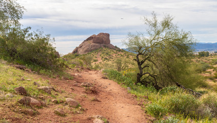 Path leading toward a sandstone formation
