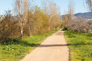 Rural road, agricultural tourism. Road surrounding crop fields