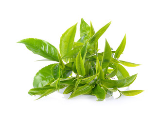 green tea leaf isolated on white background