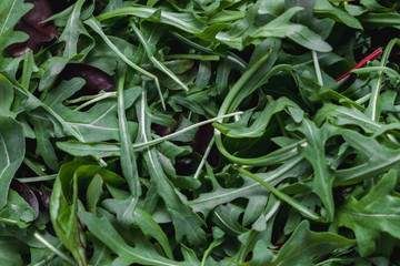 Fresh leaves of arugula, lettuce, spinach, beets for salad as a background image. Top view. Copy,...