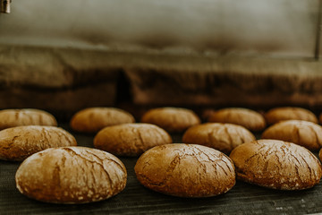 Fresh buns from the oven. Conveyor with bread. Baking bread. Workshop for production of bread. White bread in the oven. Hot buns. Confectionery