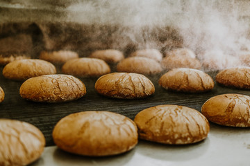 Fresh buns from the oven. Conveyor with bread. Baking bread. Workshop for production of bread....