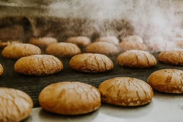 Gordijnen Verse broodjes uit de oven. Transportband met brood. Brood bakken. Workshop voor de productie van brood. Wit brood in de oven. Warme broodjes. Banketbakkerij © Roman