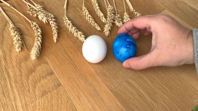 woman spreads colored eggs on a table with ears of grain, easter concept