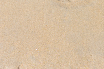 Fototapeta na wymiar Blank brown sand texture background, nature sand pattern background