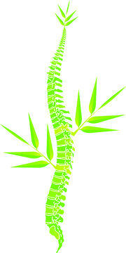 green spine bamboo leaves on white clip art preview