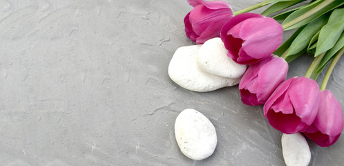 Fototapeta na wymiar Spring spa setting with pink tulips and stones on grey background. Minimal resort or relax concept. Lifestyle. Copyspace.