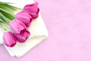 Spring  spa composition with pink tulips, towel on rose background. Minimalist mock up concept for relax, beauty products or greeting card. Banner