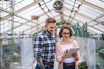 Man and woman researchers standing in greenhouse, using tablet.