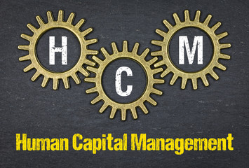 HCM Human Capital Management