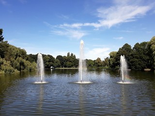 Artesian fountains in a lake in a city park.