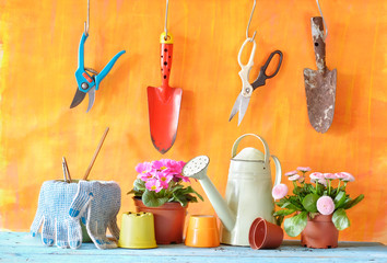 Young flowers in the springtime with gardening tools and flower pots on orange color background