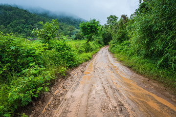 Muddy road