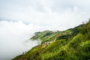 Landscape of hill and mist from the top of mountain