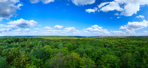 Döhlauer Heide in Halle