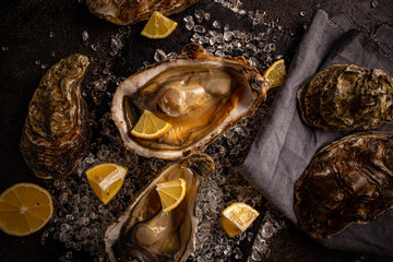 Fresh oysters close-up