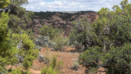 green Canyon next Tuba city