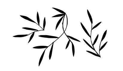 twigs with leaves. hand drawn plant silhouettes flat style