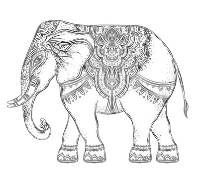 974 Best Zentangle Elephant Images Stock Photos Vectors Adobe Stock