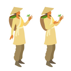A tea picker woman holding a tea leaf in her hand. A girl plantation worker looking on a crop, showing on a leaf. Traditional clothes, the Asian conical hat, basket behind her back.