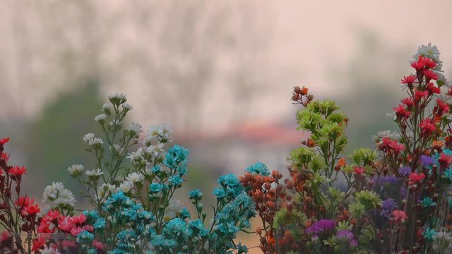 A bouquet of flowers in market for sale to gife of congraturation education to students