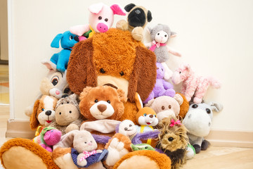 Many Soft plush fluffy toys sits in the children's room