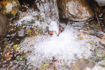 fast stream in the Park. open water, rocks and foam.