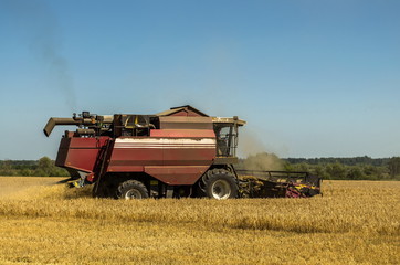 A harvester harvests in field, side view in motion