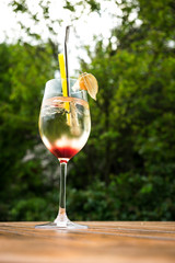 Frischer Coctail Hugo in einem Gals mit Strohhalmen