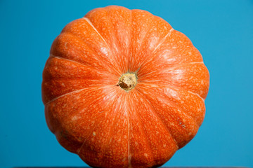 Ripe pumpkin isolated in a blue background