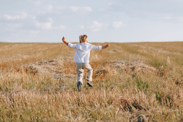 Naklejka na ściany i meble blond little boy playing hay in the field. summer, sunny weather, farming.