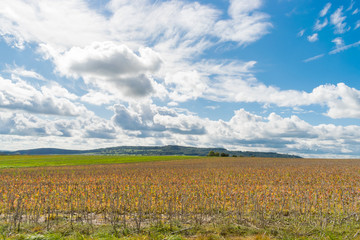 Der Hesselberg in Mittelfranken ist ein beliebtes Ausflugsziel bei Wanderern, Familien und Gleitschirmfliegern. Der Berg liegt in der N&auml;he von Dinkelsb&uuml;hl und Wassertr&uuml;dingen im Landkreis Ansbach.