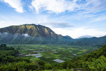Stunning aerial view of some agricultural fields in Sembalun. Sembalun is situated on the slope of mount Rinjani and is surrounded by beautiful green mountains. Sembalun, Lombok, Indonesia
