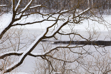 Tree branches on a background of river ice. Close-up. Melting ice on the river. Dark ravines on ice. Early spring.
