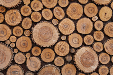 The background image is a mosaic of saw cut trees of various thicknesses