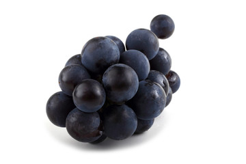 Black wine grape