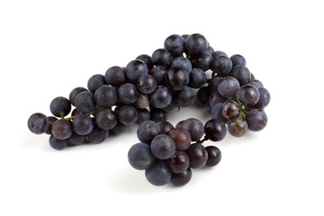 Wine grape variety for red wine