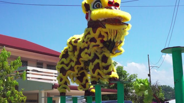 Lion dance show in Chinese new year festival on 2nd day Chinese new year in Kota Kinabalu Sabah, Malaysia