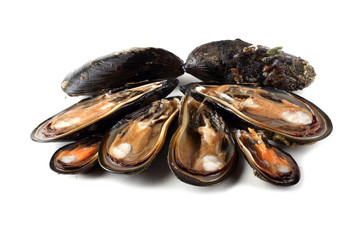 Mussels
